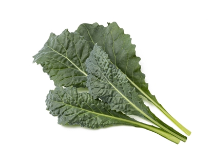 Attēls no Click & Grow Smart Refill Italian Kale 3pcs