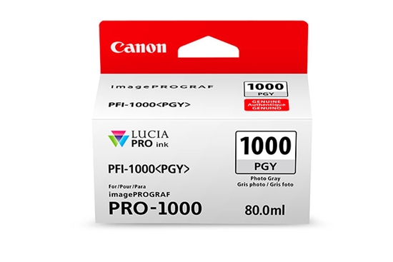 Изображение Canon PFI-1000 PGY photo grey