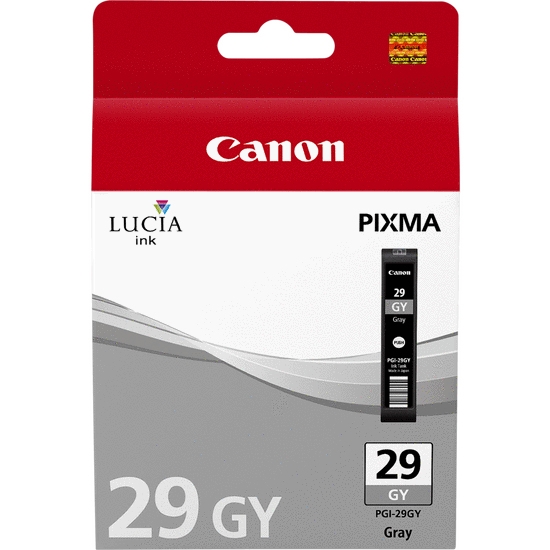 Picture of Canon PGI-29 GY grey