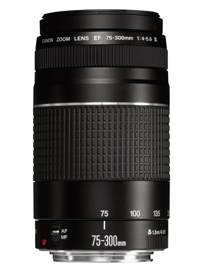 Picture of Canon EF 75-300mm f/4-5.6 III Lens