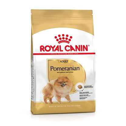 Изображение Royal Canin BHN Breed Pomaranian Adult - dry food for adult Miniature Spitz - 500 g