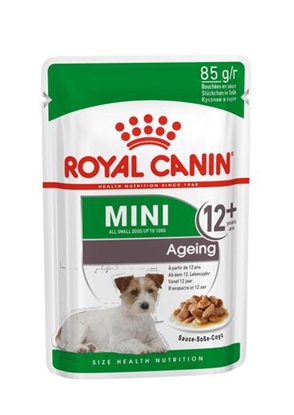 Picture of ROYAL CANIN Mini Ageing - wet dog food - 12 x 85g