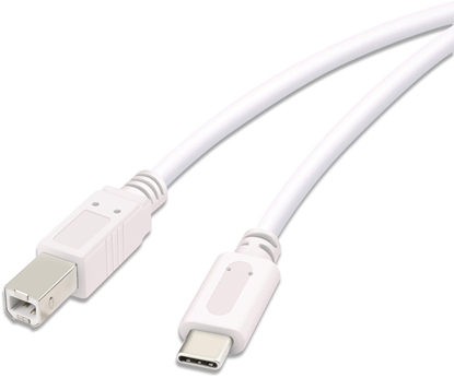 Picture of Vivanco cable USB-C - USB-B 3m, white (45356)
