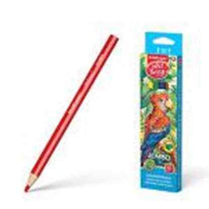 Picture of Zīmuļi krāsainie 6 krāsas,  MAXI trīsstūrveida,  ErichKrause