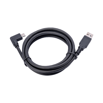 Attēls no Jabra Panacast USB Cable - 1.8m