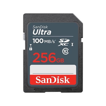 Attēls no SanDisk Ultra Lite SDXC    256GB 100MB/s       SDSDUNR-256G-GN3IN