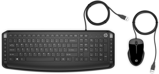 Изображение HP Pavilion Keyboard and Mouse 200