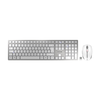 Picture of CHERRY DW 9100 SLIM keyboard Mouse included RF Wireless + Bluetooth QWERTZ German Silver