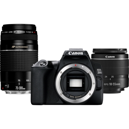 Изображение Canon EOS 250D + EF-S 18-55mm f/3.5-5.6 III + EF 75-300mm f/4-5.6 III SLR Camera Kit 24.1 MP CMOS 6000 x 4000 pixels Black