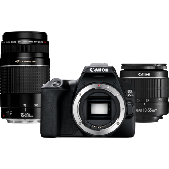Изображение Canon EOS 250D + EF-S 18-55mm f/3.5-5.6 III + EF 75-300mm f/4-5.6 III SLR Camera Kit 24.1 MP CMOS 6000 x 4000 pixels Black