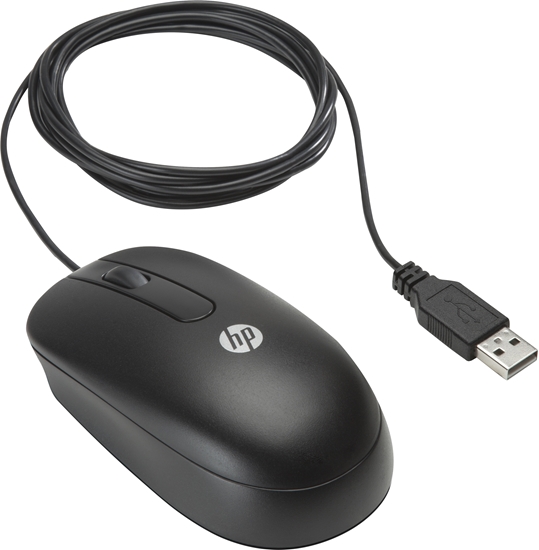 Picture of HP USB Optical Scroll Mouse