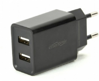 Изображение Energenie 2-port Universal USB Charger Black