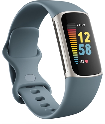 Изображение Smart band Fitbit Charge 5 Steel Blue/Platinum (FB421SRBU)