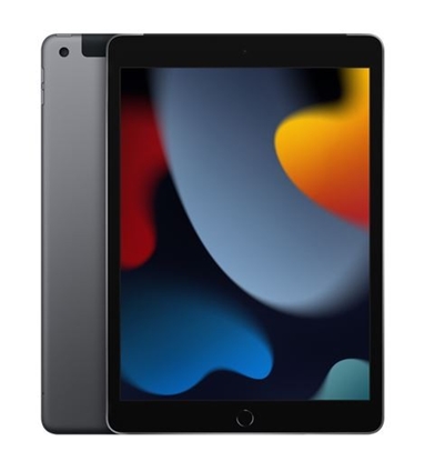Obrazek Apple 10.2inch iPad Wi-Fi +Cell 256GB Space Grey     MK4E3FD/A