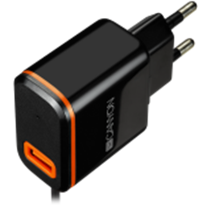 Picture of Canyon - Wall Charger With USB TYPE C CABLE , 2.1A Black