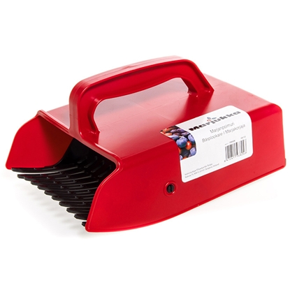 Picture of Ogu lasītājs Marjukka plats