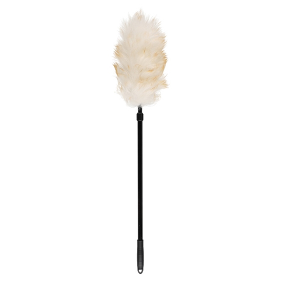 Picture of Putekļu slotiņa Nord Clean ar teleskopisku rokt.