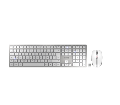 Picture of CHERRY DW 9100 SLIM keyboard Mouse included RF Wireless + Bluetooth AZERTY French Silver