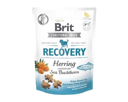 Attēls no Brit Care Dog Recovery&Herring - Dog treat - 150 g