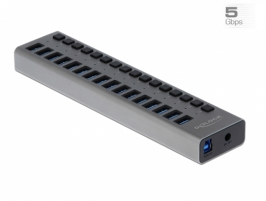 Picture of Delock External SuperSpeed USB Hub with 16 Ports + Switch