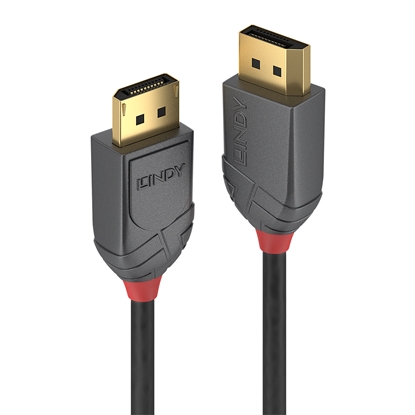 Attēls no Lindy 0.5m DisplayPort 1.4 Cable, Anthra Line