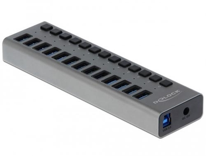 Picture of Delock External SuperSpeed USB Hub with 13 Ports + Switch