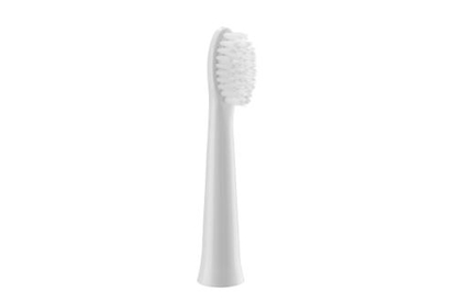 Attēls no Panasonic | Brush Head | WEW0972W503 | Heads | For adults | Number of brush heads included 2 | Number of teeth brushing modes Does not apply | White