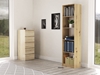 Picture of Topeshop R50 ARTISAN office bookcase
