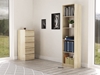 Picture of Topeshop R50 SONOMA office bookcase