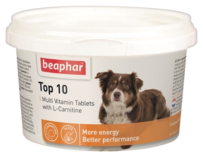 Picture of Beaphar multivitamin tablets with carnitine for dogs - 180 tab