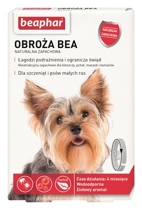 Attēls no Beaphar protective collar for dogs, size S