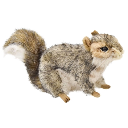 Attēls no Mīkstā rot. Vāvere 16cm