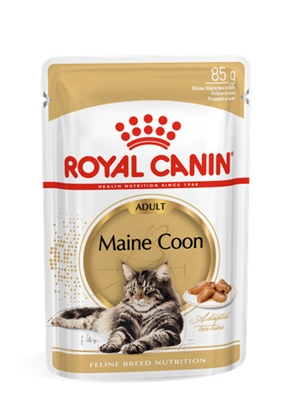 Picture of Royal Canin FBN Maine Coon - Cat wet food - sachet 12x 85g