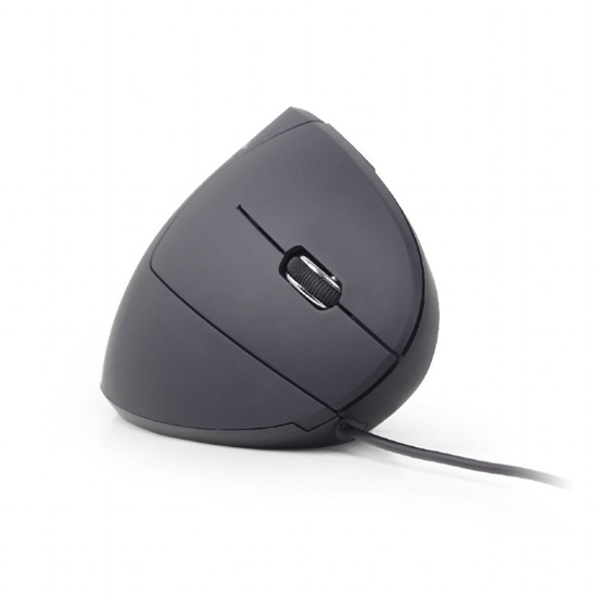 Изображение Gembird MUS-ERGO-01 mouse Right-hand USB Type-A Optical 3200 DPI