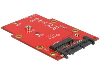 Obrazek Delock 1.8 Converter Micro SATA 16 Pin  M.2 NGFF