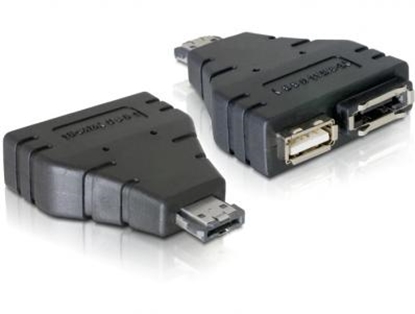 Attēls no Delock Adapter Power-over-eSATA  1x eSATA and 1x USB