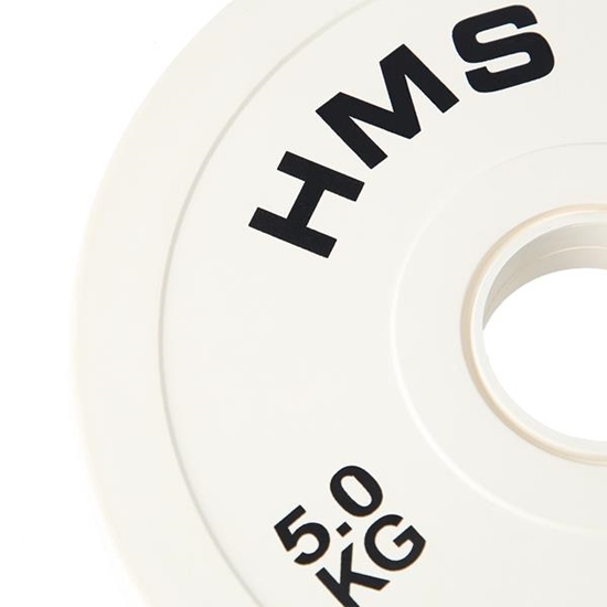 Picture of Svaru disks CBRS50 2 x 5,0 KGS HMS
