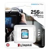 Picture of Kingston Canvas Go Plus 256GB 
