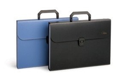 Picture of Folder-briefcase, file folder Forpus, A4, blue, 12 + 1 compartments 0822-006