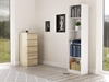 Picture of Topeshop R50 BIEL office bookcase