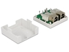 Picture of Delock Modular Wall Outlet 2 Port Cat.6