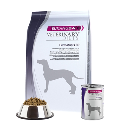 Picture of Eukanuba Dermatosis FP for Dogs 5 kg Adult Fish, Potato