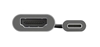Picture of Adapteris Trust Dalyx USB-C to HDMI Silver