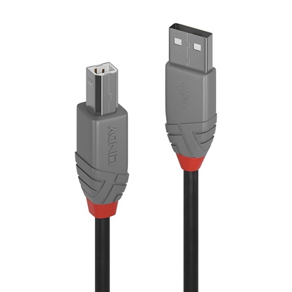 Attēls no Lindy 2m USB 2.0 Type A to B Cable, Anthra Line