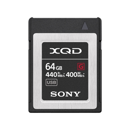 Picture of Sony XQD Memory Card G      64GB