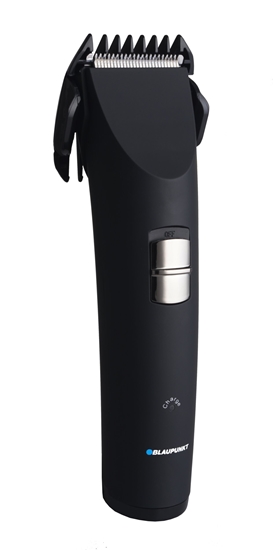 Picture of Blaupunkt HCS201