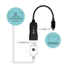 Picture of i-tec USB-C Display Port Adapter 4K/60 Hz