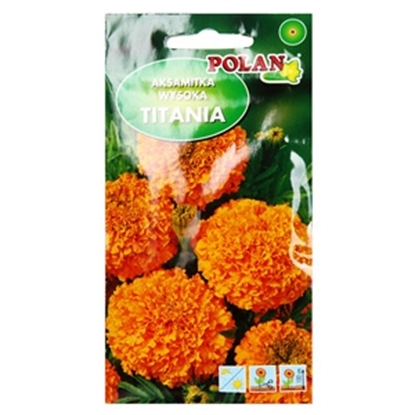 Picture of Sēklas Samtenes Titania 2g
