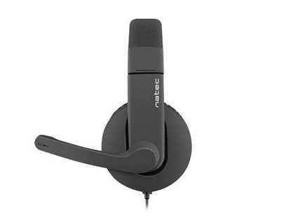 Изображение NATEC Rhea Headset Head-band 3.5 mm connector Black