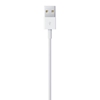 Изображение Apple Lightning to USB 1m